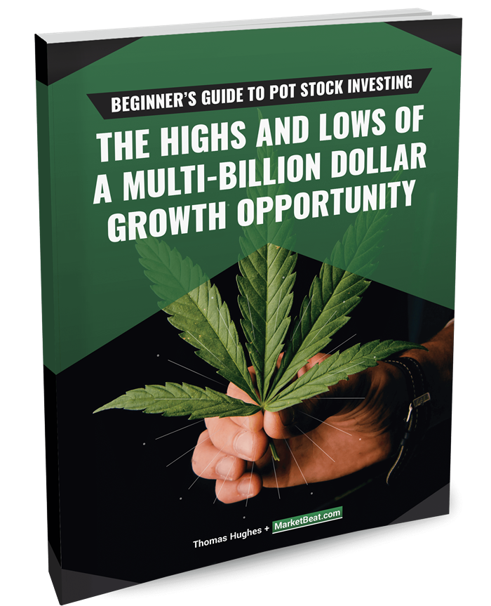 Beginner's Guide to Pot Stock Investing