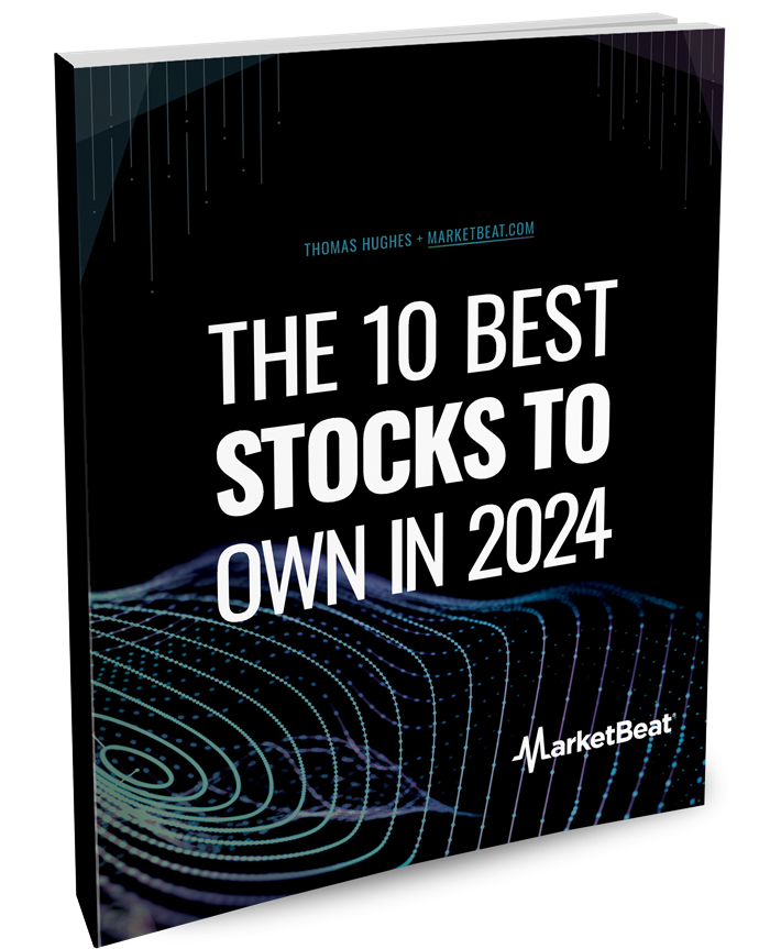 10 Best Stocks to Own in 2024