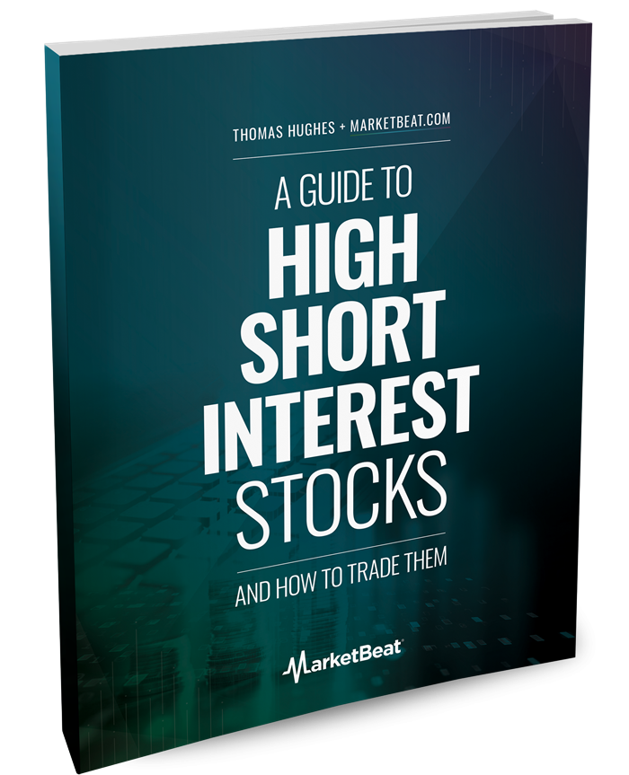 A Guide To High-Short-Interest Stocks